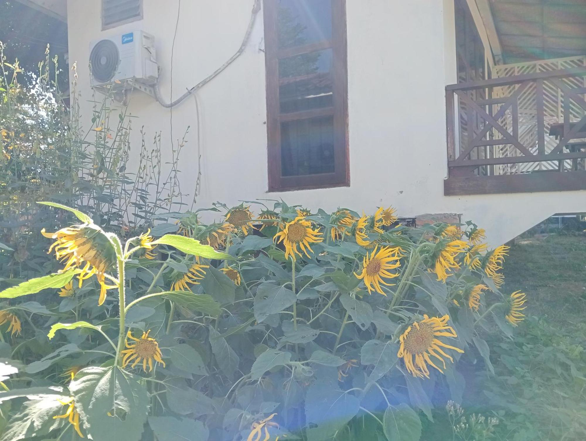 Vangvieng Ruby'Homestay Vang Vieng Exterior foto